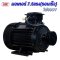 มอเตอร์5.5kW/7.5 HP/RPM2800/380V. ขดลวดทองแดงแท้
