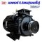 มอเตอร์ 4 kW/5.5 HP/RPM2800/ 220V. / ขดลวดทองแดงแท้