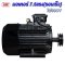 มอเตอร์5.5kW/7.5 HP/RPM2800/380V. ขดลวดทองแดงแท้