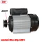 มอเตอร์รอบเร็ว 4HP 220V