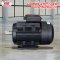 มอเตอร์ 3 kW/4 HP/RPM1400/220V./ขดลวดทองแดงแท้