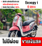 Scoopy i 2014 รถบ้านแท้  สตาดติดขี่ได้ปกติ  มีเล่มเขียวครบพร้อมโอน No721