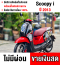 Scoopy i 2013 สตาดติดขี่ใช้งานได้ปกติ เครื่องเดิมเสียงเงียบ  มีเล่มเขียวครบพร้อมโอน No755