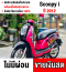 Scoopy i 2012 รถบ้านแท้ เครื่องท่อเดิมๆ มีเล่มเขียวครบพร้อมโอน No762