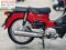 Super cub 2020 วิ่ง1000โล สตาดมือ รถบ้านมือเดียวเครื่องดีสีสวย No863