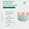 Antioxidant Water Gel Moisture Bomb