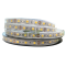 5050 24V IP67 60LED