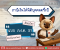 ภ.ง.ด. 51 คืออะไร คำนวณยังไง แล้วต้องยื่นตอนไหน?