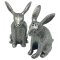 Pewter Salt & Pepper - Hare