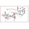 Diagram Front Lower Arm Bush Honda City Type ZX