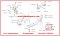 Diagram of Engine Mounting Left Nissan Sunny Neo Manual 