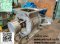 Rotary valve