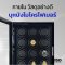 เครื่องหมุนนาฬิกาAUTO สแกนนิ้ว รุ่น FT9-S