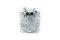 COMP. SD-5S09 (5609) (SD505) (O-RING) (12V.) (2A) มีหัวเติมน้ำยำ