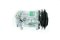 COMP. SD-7H15 (8250) 24V. (B1)