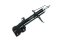 SHOCK ABSORBER (FR) FOR NISSAN SYLPHY, PULSAR B17, C12 '12