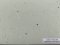 กระเบื้องยาง HOMOGENEOUS ลายหินแบบม้วน รุ่น KHO-SERIES ความหนา 2 mm.