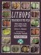 Lithops – Treasures of the Veld (Eng)