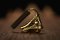 Shubb Capo eC1pb Pierre Bensusan Artist Capo