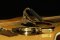 Shubb Capo eC1pb Pierre Bensusan Artist Capo