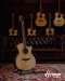 Herman Acoustic Guitar Model 600 GA Solid Top AAA Spruce / Rosewood
