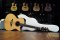 Herman Acoustic Guitar Model 900 GA All Solid AAAA Spruce / Rosewood