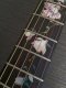 Magnolia Tree with Pink Flowers Inlay Sticker