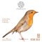 Knobloch Classical Strings ERITHACUS Bio Nylon Medium Tension
