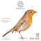 Knobloch Classical Strings ERITHACUS Bio Nylon High Tension