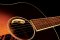 L.R. Baggs Anthem TRU-MIC System Acoustic Guitar Pickup + Microphone