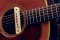 L.R. Baggs M1A Active Acoustic Guitar Soundhole Magnetic Pickup