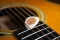 Black Mountain  Tagua Flatpicks