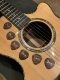 D'Andrea "Dawg" David Grisman Signature Pick