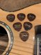 D'Andrea "Dawg" David Grisman Signature Pick