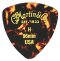 Martin #2 Guitar Pick Tortoise Shell