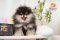 Ch01B