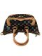 Louis Vuitton Black Monogram Multicolore Rita