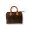 Louis Vuitton Speedy 25 Monogram