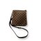 กระเป๋า LV Musette Salsa crossbody