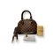กระเป๋า LV ALMA BB Damier