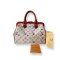 กระเป๋า LV Speedy Monogram Watercolor Aquarelle+Shaper