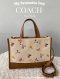 Coach C8253 Dempsey Tote 22