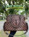 กระเป๋าLV Trevi PM Damier