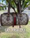 Gucci Ophidia Series Like new