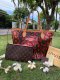 Louis Vuitton - Monogram Jungle Neverfull MM