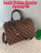 Louis Vuitton Damier Speedy 25
