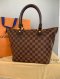Louis Vuitton Saleya  Handbag Brown Damier ebene