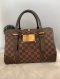 Louis Vuitton Damier  Berkeley