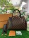 Louis Vuitton Damier Ebene Brittany Bordeaux