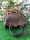 Louis Vuitton Damier Ebene Brittany Bordeaux
